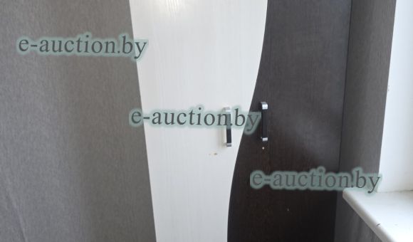 Шкаф двухстворчатый