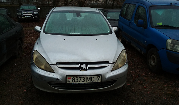 Peugeot 307, 2002