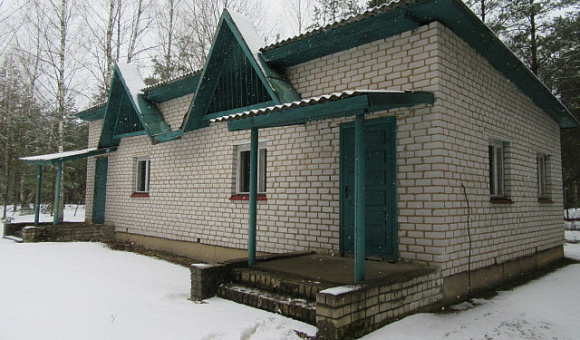 Летний домик №8 около д. Коровчено (Быховский район) площадью 68м²