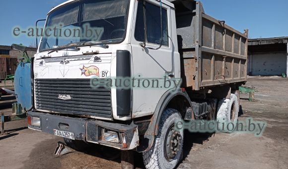 МАЗ 555124, 2009