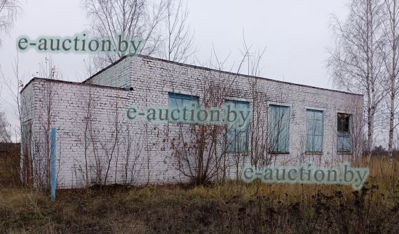 Здание школьной котельной в гп Дрибин, площадью 131.8м²