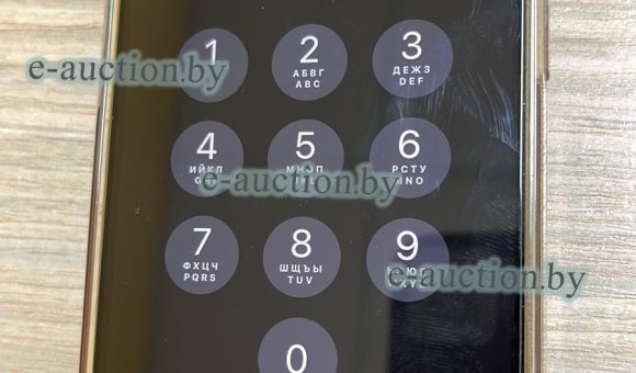 Смартфон iPhone 13 Pro Max 128GB