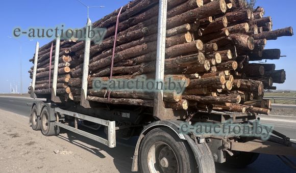 Прицеп DOLL A 105, 2005