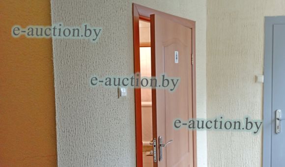 Вспомогательное (подсобное) помещение в гп Мачулищи (Минский район), площадью 7.3 м²