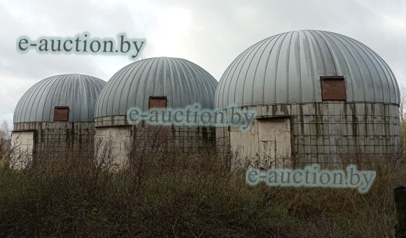 Склад ядохимикатов в гп Лиозно, площадью 65 м²