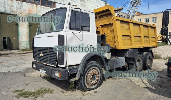 MAZ 5516 А5 371, 2009