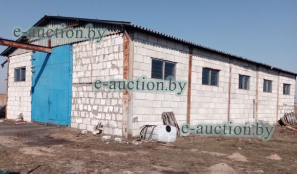 Здание цеха деревообработки вблизи д. Зеленые Луки (Гомельский район), площадью 230.2м²