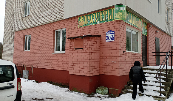 Магазин в аг. Старо-Борисов (Борисовский район), площадью 54.7 м²