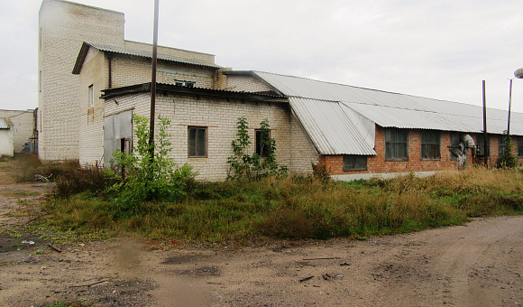 Цех деревообработки в аг. Синявка (Клецкий район), площадью 771.3 м²