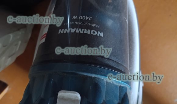 Пылесос Norman AV31120455