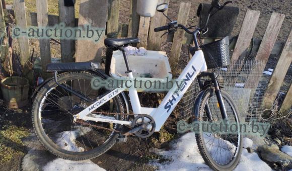 Электровелосипед Shtenli Model GT9