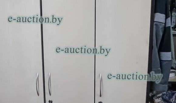 Шкаф для одежды инв.№0000000700