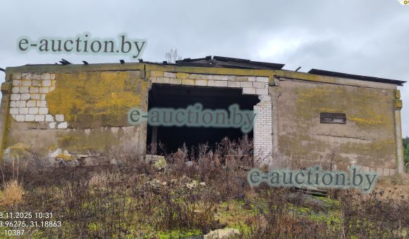 Здание зернолинии вблизи д. Кричеватка (Дрибинский район) площадью 518.9м²