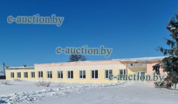 Комплекс недвижимого имущества в д. Носовичи (Калинковичский район)