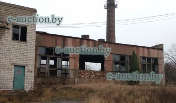 Котельная в гп Лоев, площадью 500.9м²