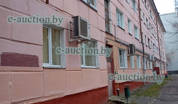 53/100 доли в праве собственности на квартиру в г. Бобруйске, площадью 102.7м²