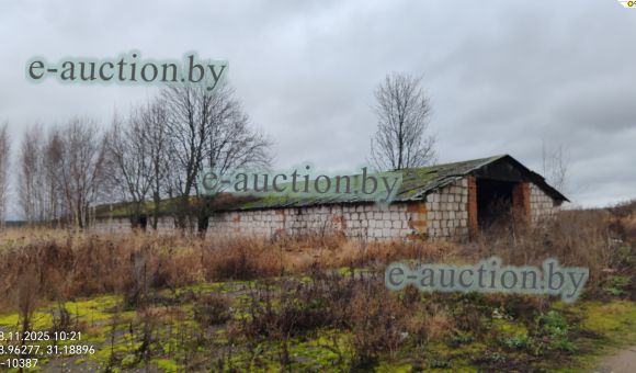Зерносклад вблизи д. Кричеватка (Дрибинский район) площадью 552.4м²