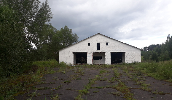 Молочно-товарная ферма вблизи д. Савцевичи (Барановичский район), площадью 1769.9м²