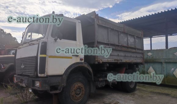 МАZ 555142 4231РБ, 2009