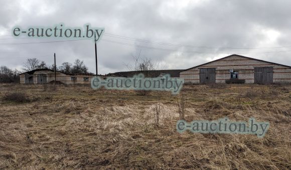 Коровник с молочным блоком, телятник д. Деревная (Столинский район), площадью 3110.3 м²