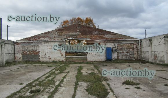 Цех кур несушек № 7 вблизи д. Большая Ухолода (Борисовский район), площадью 1284.0 м²