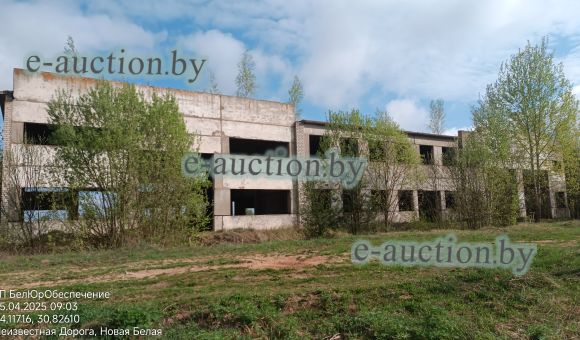 Машинный двор в д. Белая (Дрибинский район) площадью 1613.4м²