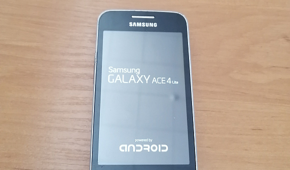 Мобильный телефон Samsung SM-G313H