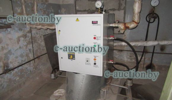 Электропарогенератор ЭПэ-300-ПРМ-Н