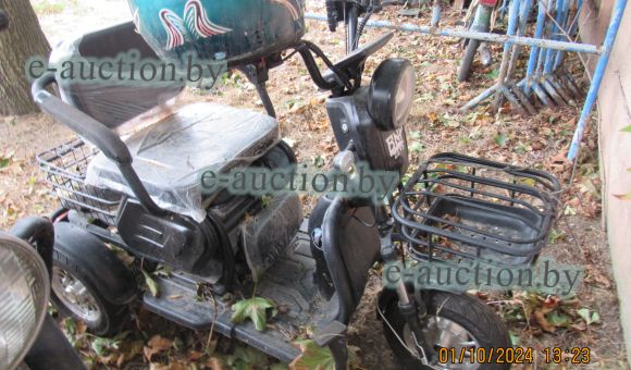 Трицикл BNP ZEVS