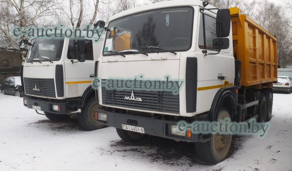 МАЗ 551605-280-650, 2015