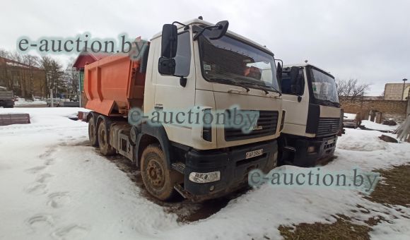 МАЗ 650108-271-000, 2017