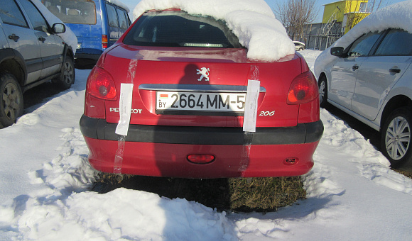 Peugeot 206, 2009