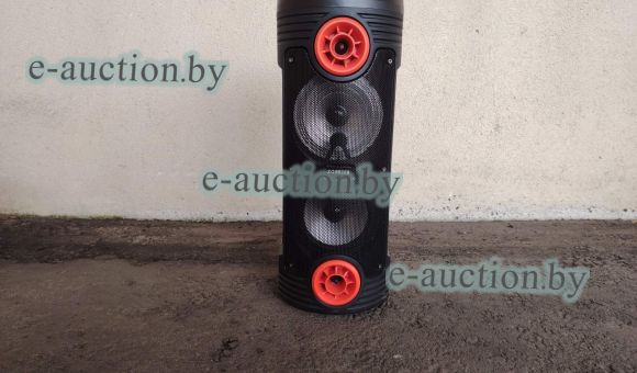 Музыкальная колонка ZQS6208