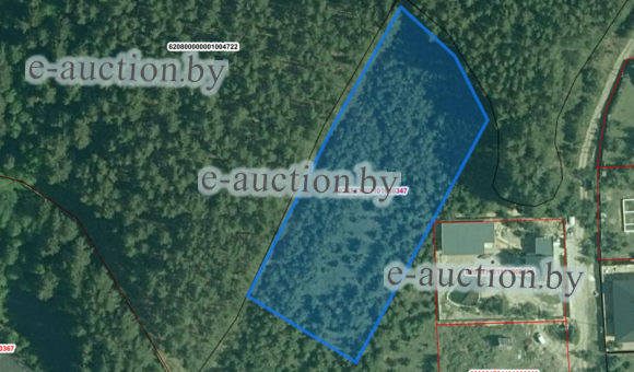 Земельный участок в д. Гливин (Борисовский район), площадью 0.7500 га