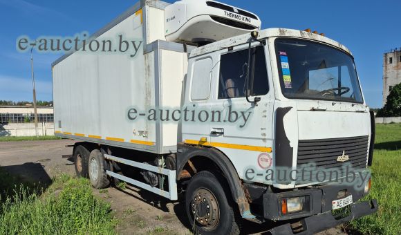 МАЗ 6303 A5 KUPAVA 673100, 2010
