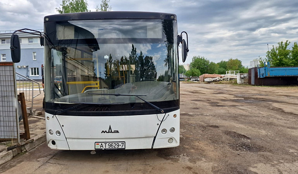 Автобус МАЗ 206067, 2013
