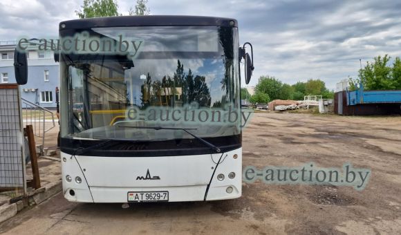 Автобус МАЗ 206067, 2013