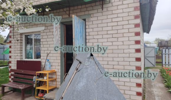 1/3 доля в праве собственности на садовый домик в г. Новолукомле, площадью 25.5 м²