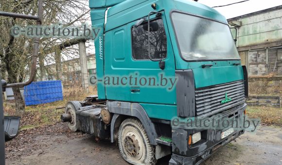 MAZ 544008 060 030, 2007