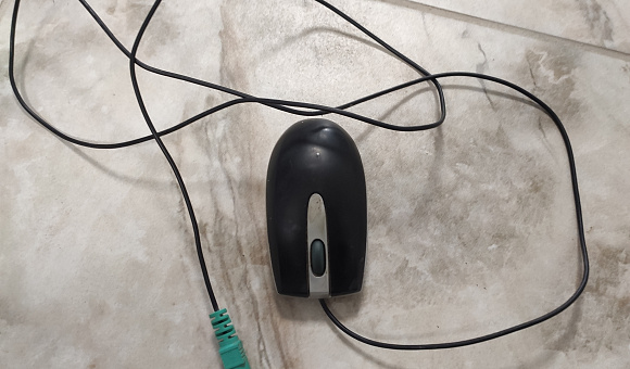Мышь компьютерная 