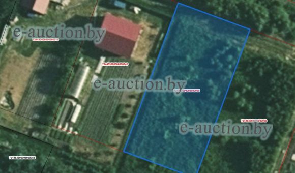 Земельный участок в СТ "Эллинг" (Могилевский район), площадью 0.1000 га