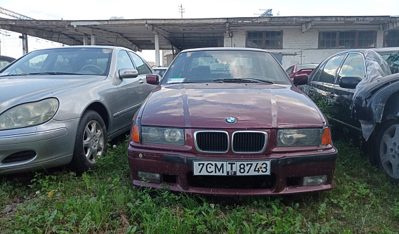 BMW 316i, 1995