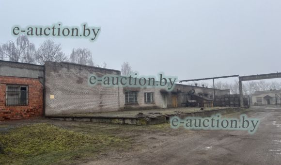 Квасильно-засолочный цех в г. Могилеве, площадью 2287.9м²