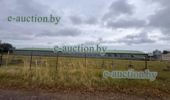 Цех кур несушек № 1 вблизи д.Большая Ухолода (Борисовский район), площадью 1275.3 м²
