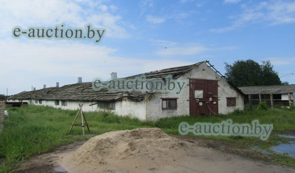Свинарник в аг. Молотковичи (Пинский район), площадью 738 м²