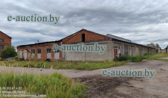 Здание цеха производства дверных блоков в гп Глуск, площадью 773м²