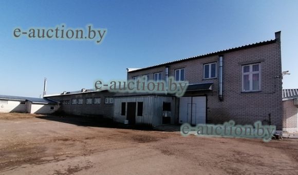 Здание коровника с доильным залом и административными помещениями вблизи д. Добрино (Витебский район), площадью 8714.7 м²