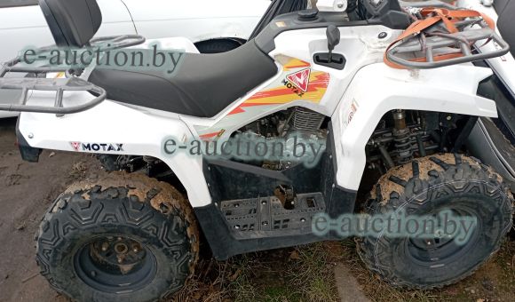 Квадроцикл GRIZLIK 200 ULTRA, 2022