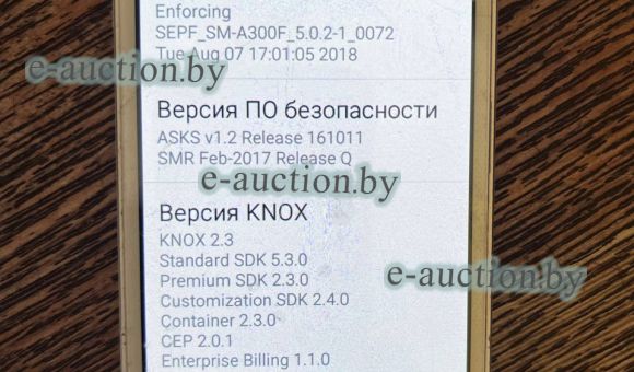 Смартфон Samsung SM-300F