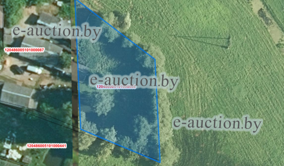 Земельный участок в д. Новая Мышь (Барановичский район), площадью 0.1198 га